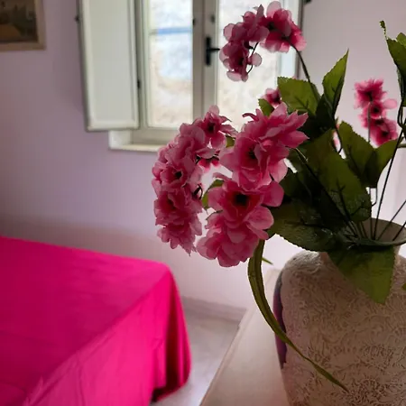 Dimora Flaminio Bed & Breakfast *