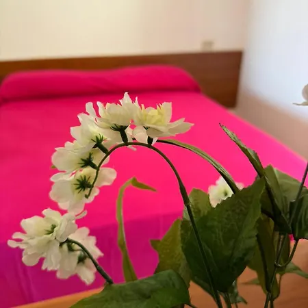 Bed & Breakfast Dimora Flaminio